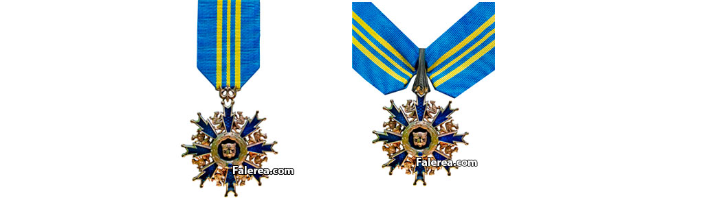 Знаки ордена 2 и 3 степеней идентичны ордену I степени и отличаются размерами и правилами ношения.