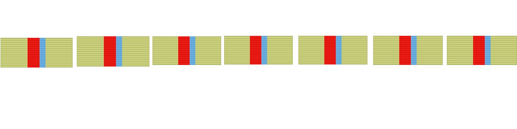 Планка медали «За оборону Киева»