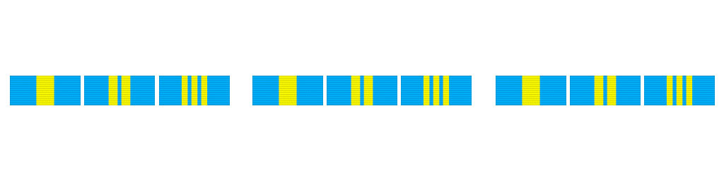 Орден "За службу Родине в ВС СССР": планки